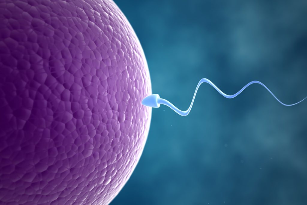 You are currently viewing Quais fatores que mais prejudicam a fertilidade masculina?
