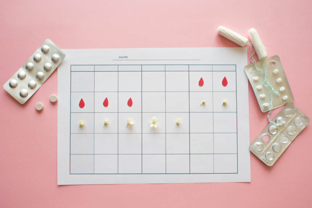 A relação entre o ciclo menstrual e a fertilidade